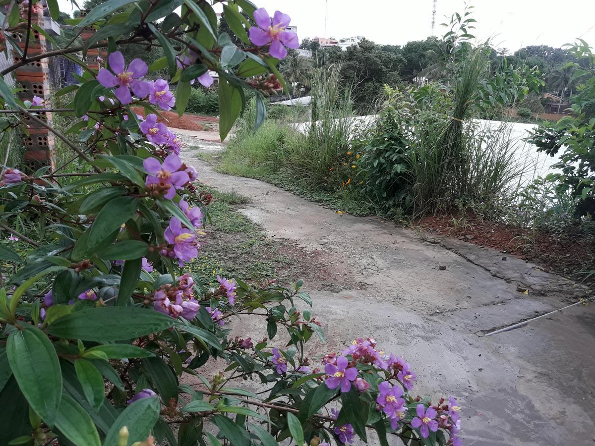 Be Home Hostel Phu Quoc Buitenkant foto
