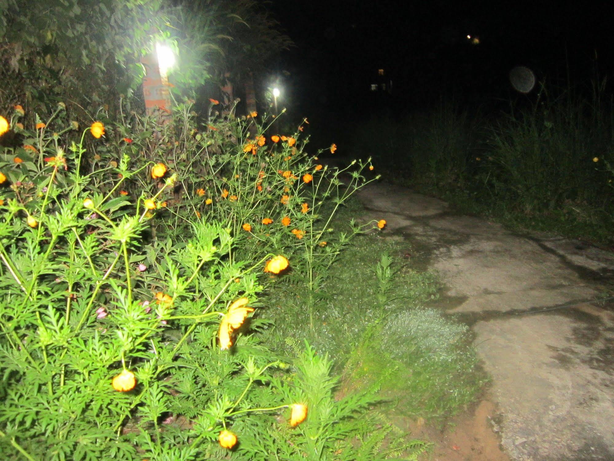Be Home Hostel Phu Quoc Buitenkant foto