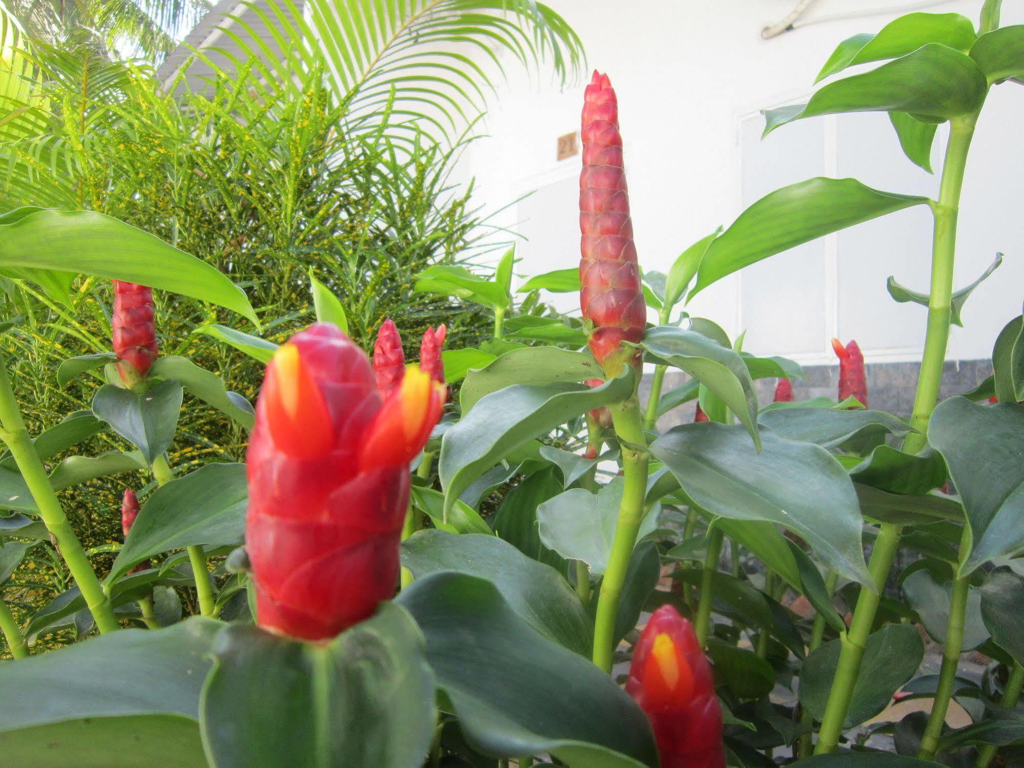 Be Home Hostel Phu Quoc Buitenkant foto