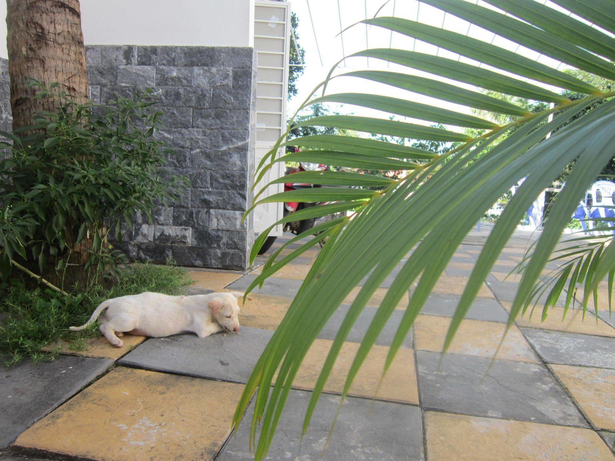 Be Home Hostel Phu Quoc Buitenkant foto